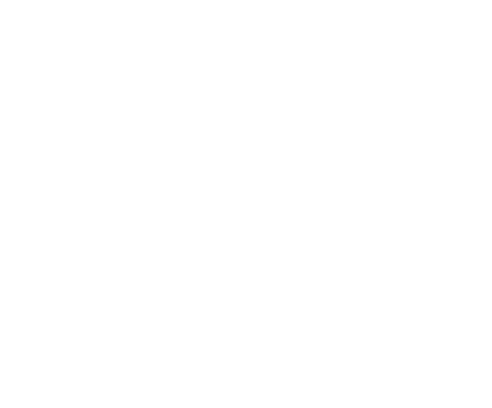 Arte de Vale do Itajaí